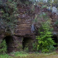 Mitchells Gully Gold