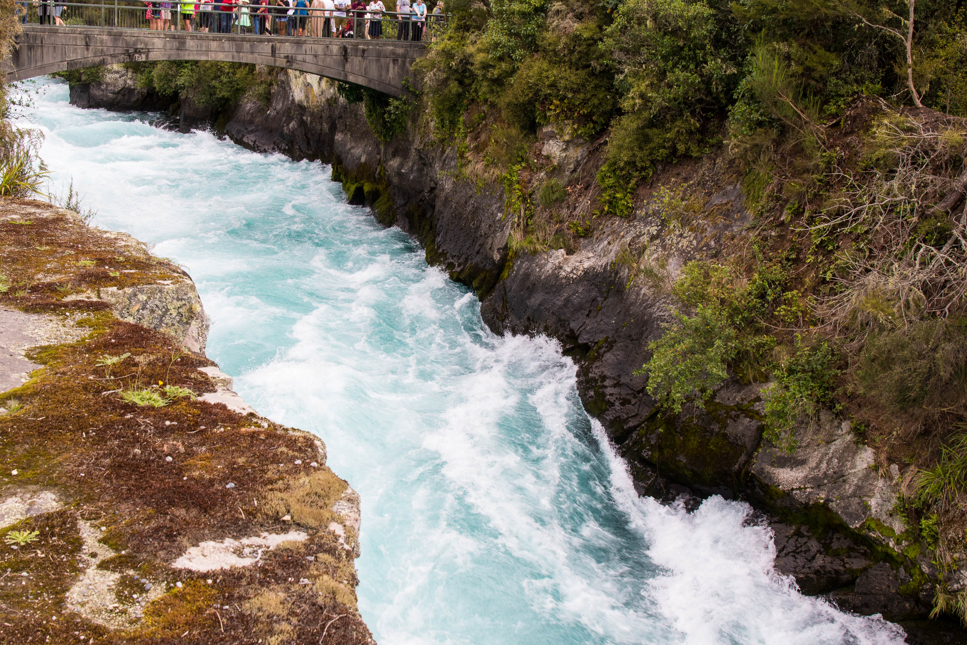 Huka Falls Archives Blasdale Home