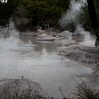 Waiotapu Thermal Wonderland