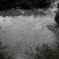 Waiotapu Thermal Wonderland