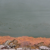 Waiotapu Thermal Wonderland