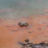 Waiotapu Thermal Wonderland