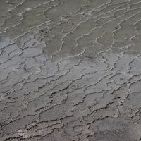 Waiotapu Thermal Wonderland