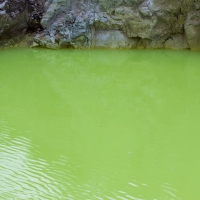 Waiotapu Thermal Wonderland