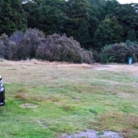 Clements Clearing campsite on the Clements Road in the Kaimanawa Forest Park