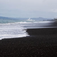 Napier Beach