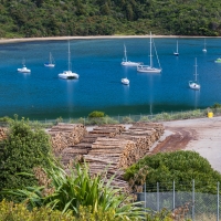 Waimahara Wharf