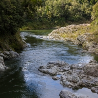 Pelorus Bridge