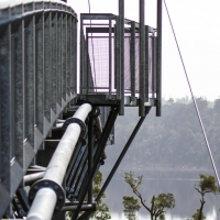 Treetop Walk