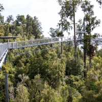 Treetop Walk