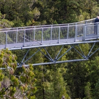 Treetop Walk