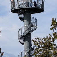 Treetop Walk