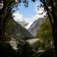 Fox Glacier