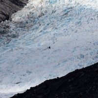 Fox Glacier