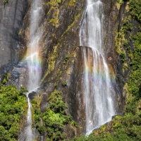 Franz Josef Glacier Walk