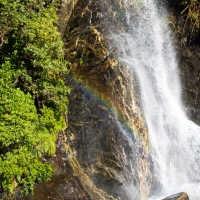 Franz Josef Glacier Walk