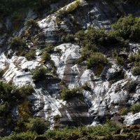 Franz Josef Glacier Walk