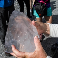 Franz Josef Glacier Walk