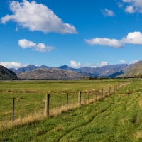 Drive out from Wanaka towards Glacier