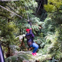 Rotorua Canopy Adventures