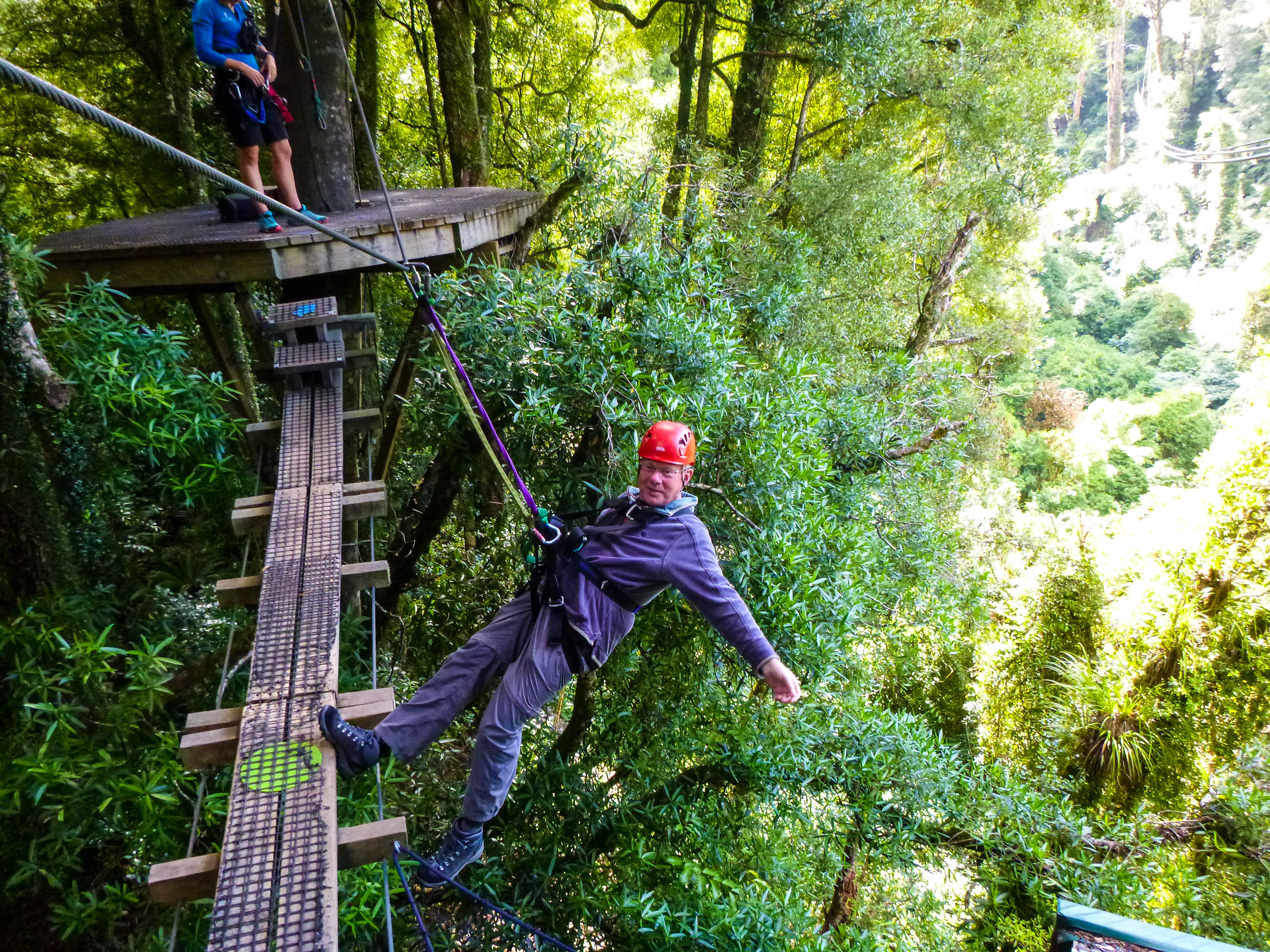 canopy tour meaning