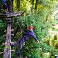 Rotorua Canopy Adventures