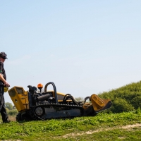 Cutting the grass
