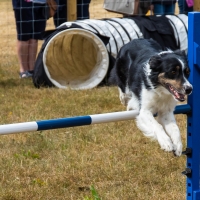 The Game Fair at Ragley Hall