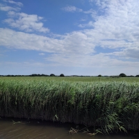 The waterway to Horsey Mare