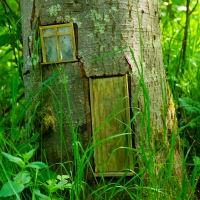 Fairy Door