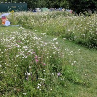 Cambridge Folk Festival 2019