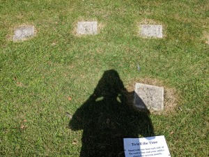 Balsham Manor Maze