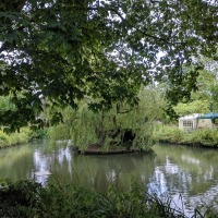 Balsham Manor Maze