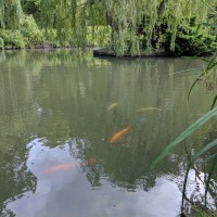 Balsham Manor Maze