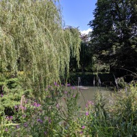 Balsham Manor Maze