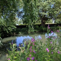 Balsham Manor Maze