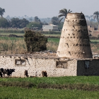 Nile, Cairo to Beni-Suif