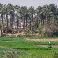 Nile, Cairo to Beni-Suif