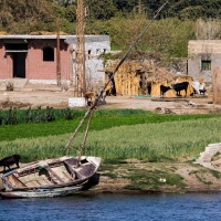 Nile, Cairo to Beni-Suif