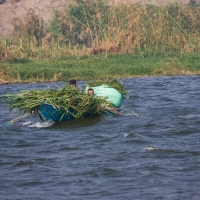 Nile, Cairo to Beni-Suif