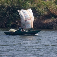 Nile, Cairo to Beni-Suif