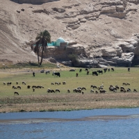 Cruise day Amarna to Asyut