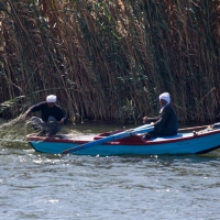 Cruise day Amarna to Asyut