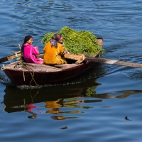 River Nile Scenes