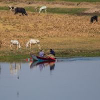 River Nile Scenes