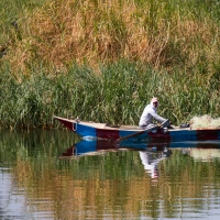 River Nile Scenes