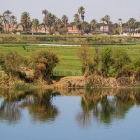 River Nile Scenes