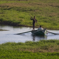 Nile River Scenes