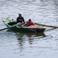 River Nile Scenes