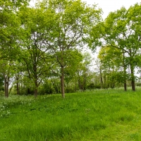 Tumulus de Colombiers-sur-Seulles